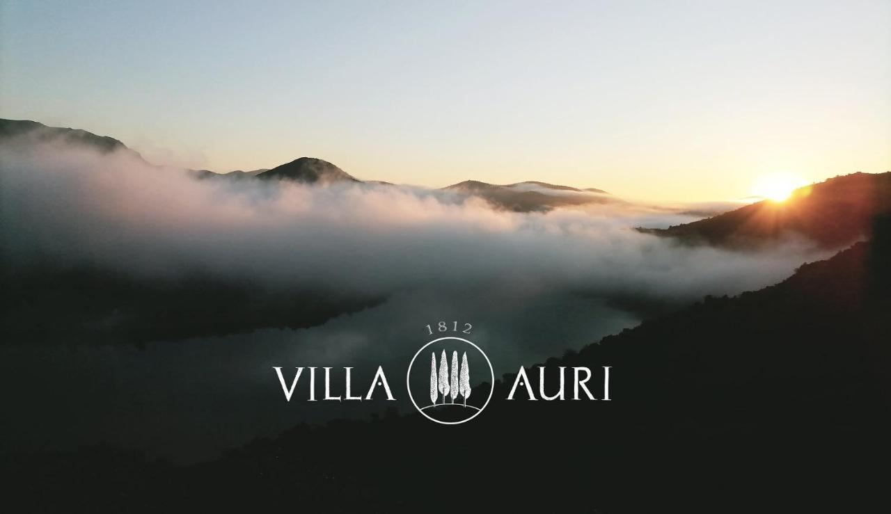 Villa Auri วีลาโนวา เจ ฟอสโก ภายนอก รูปภาพ